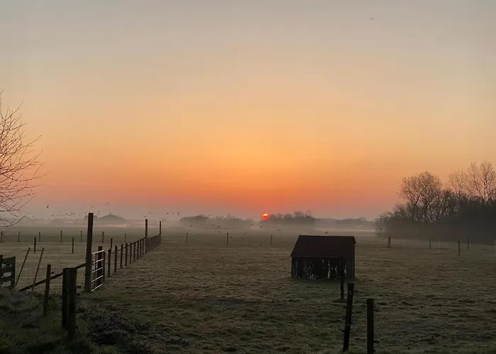 Buiten Gewoon 아파트